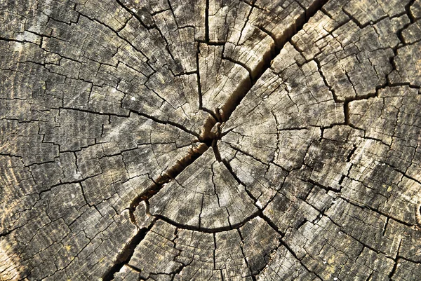Pile balks, natural wood — Stock Photo, Image