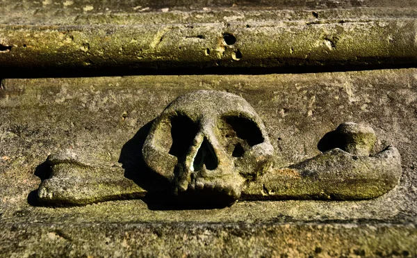 Old skull — Stock Photo, Image