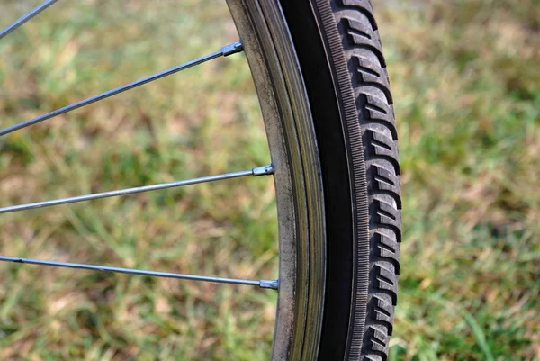 stock image Bike wheel