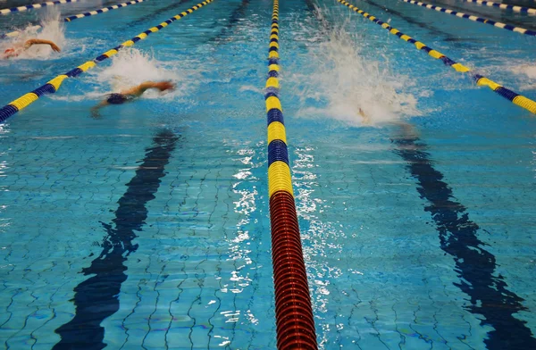 Плавальний гонки — стокове фото