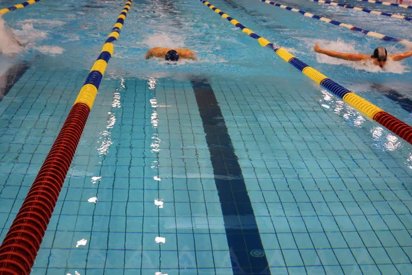 Course de natation — Photo