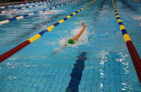 Carrera de natación —  Fotos de Stock