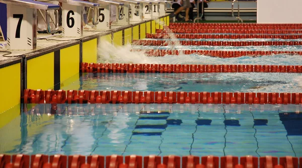 Swimming race — Stock Photo, Image