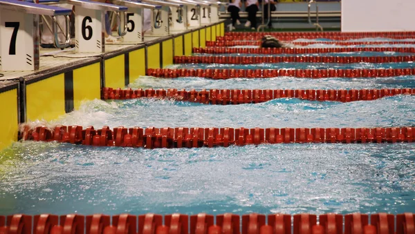Wyścig pływanie — Zdjęcie stockowe