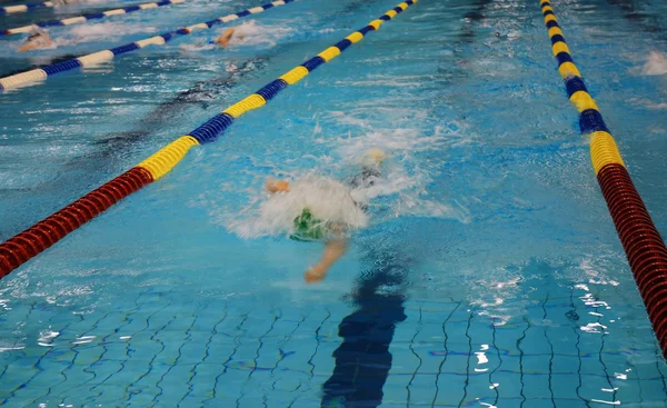 Corrida de natação Imagem De Stock