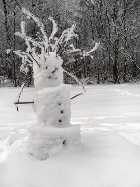Schneemann in der Winterszene — Stockfoto