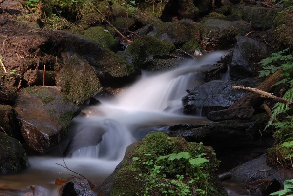 stock image Mountain River