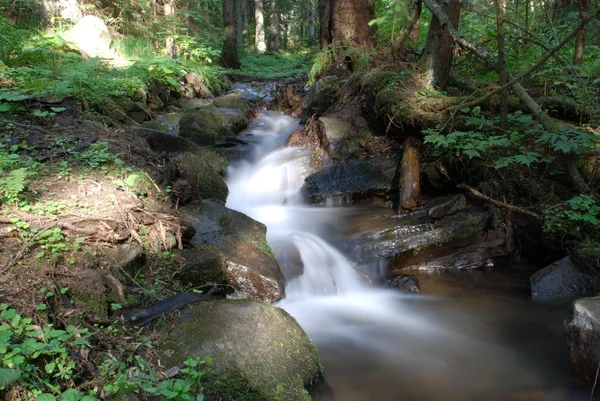 stock image Mountain River