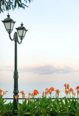 Landscape with latern, sea, flowers clipart