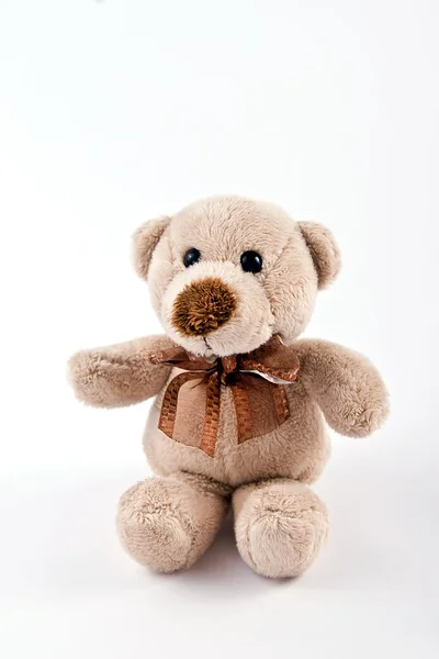 stock image Teddy bear on white background