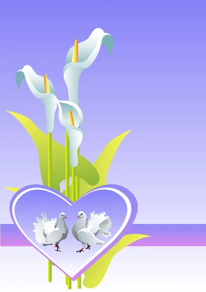 kala çiçek arka plan