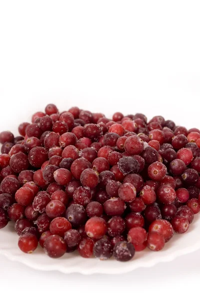 dondurulmuş böğürtlen