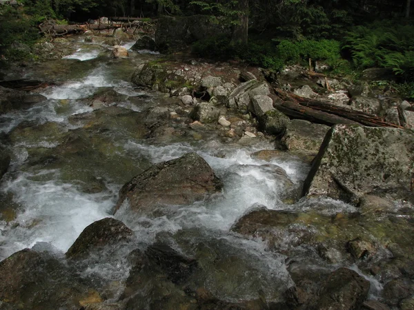 stock image River