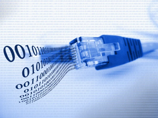 Câble Ethernet aux tons bleus Photo De Stock