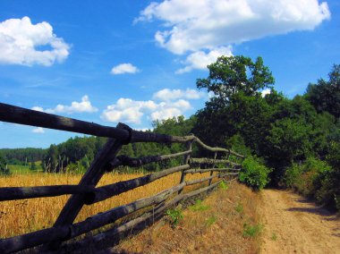 Dirt road and meadow clipart