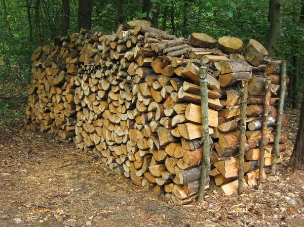 Woodpile