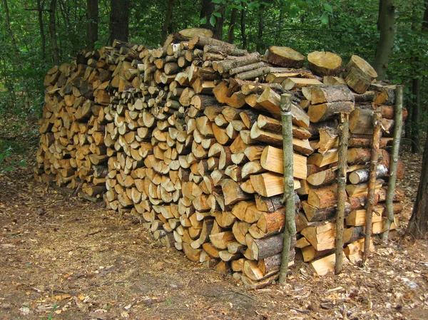 Pila di legno Immagine Stock