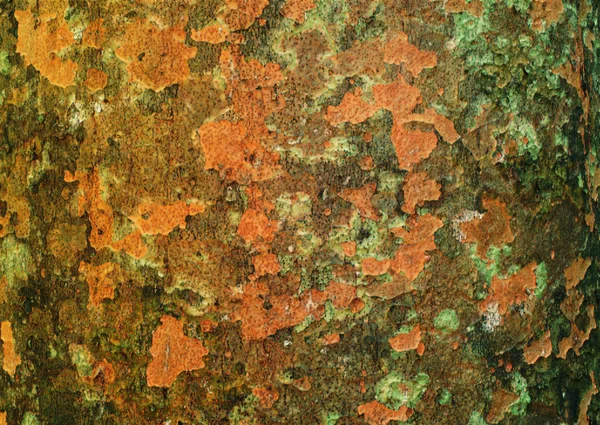 Abstract painted textured — Stock Photo, Image