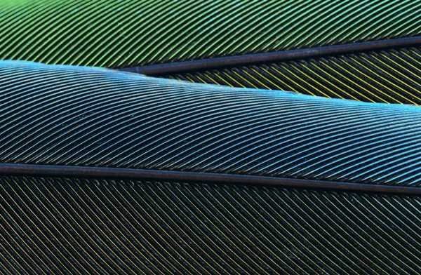 soyut dokulu boyalı