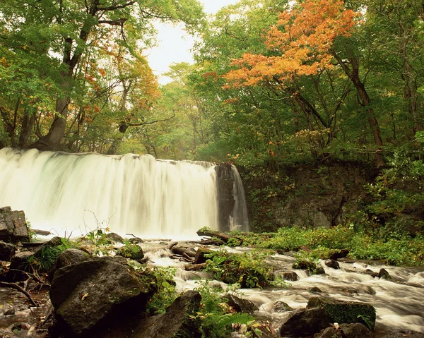 Stock image Nature landscape view