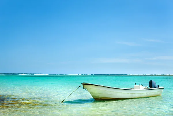 Sailbote vor Anker in der Karibik — Stockfoto