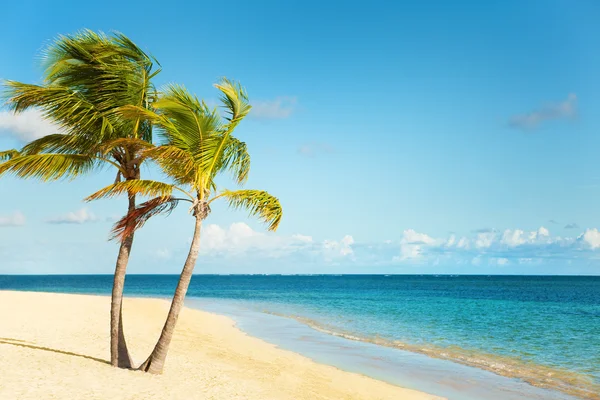Karibikküste — Stockfoto