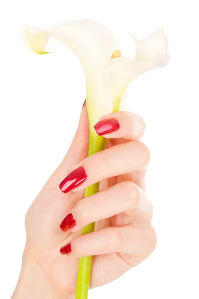 Vackra naglar och fingrar med blomma — Stockfoto