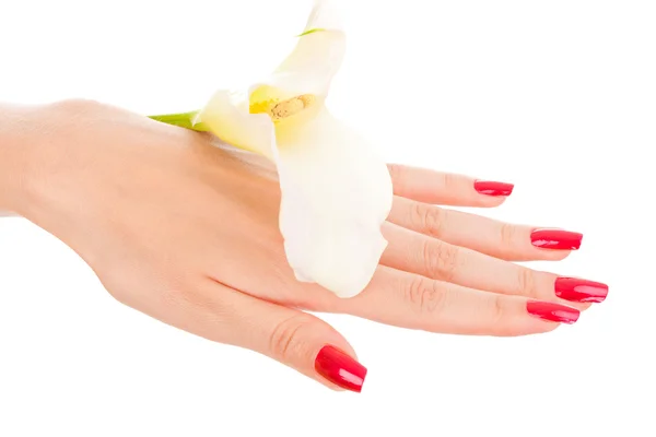 Piękne paznokcie i palce z kwiatem — Zdjęcie stockowe