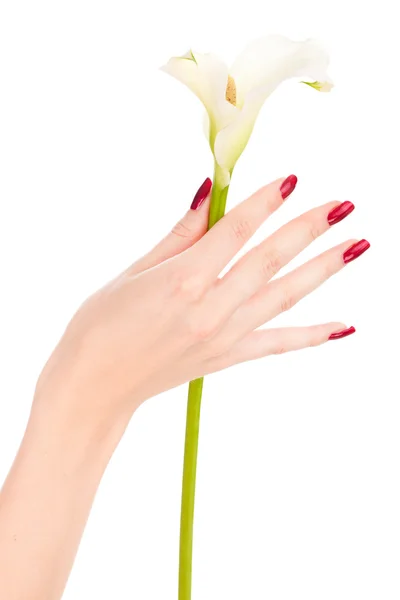 Beaux ongles et doigts avec fleur — Photo