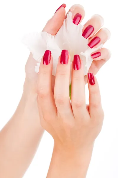 Krásné nehty a prsty s květinou — Stock fotografie