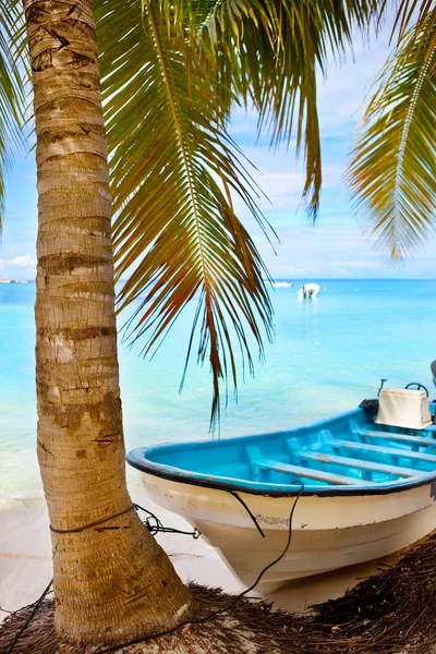 椰子棕榈树和一条船 — 图库照片