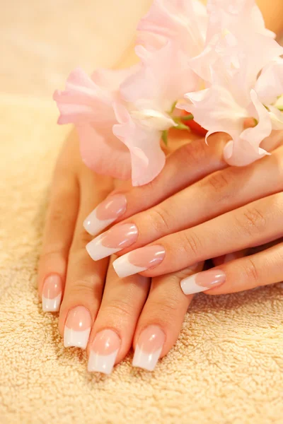 Hands of young woman with manicure Stock Image
