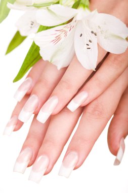 Beautiful nails and fingers clipart