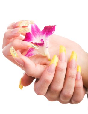 Beautiful nails and fingers clipart