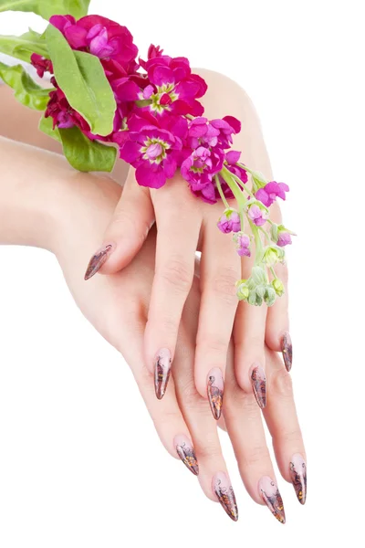 Closeup image of beautiful nails — Stock Photo, Image