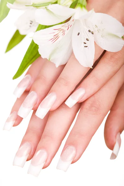 Vackra naglar och fingrar — Stockfoto