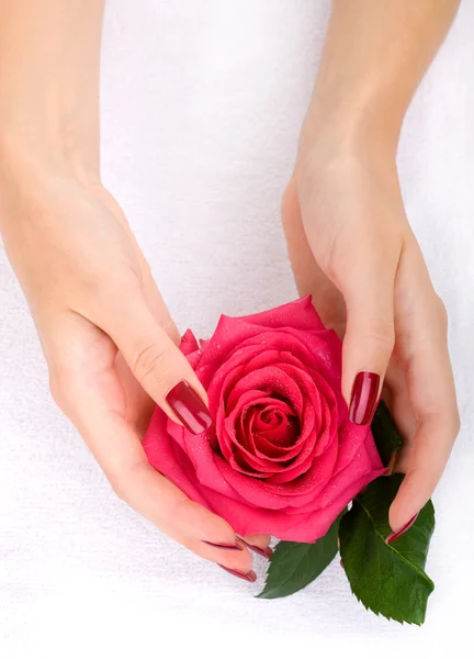Ręce z różą — Zdjęcie stockowe