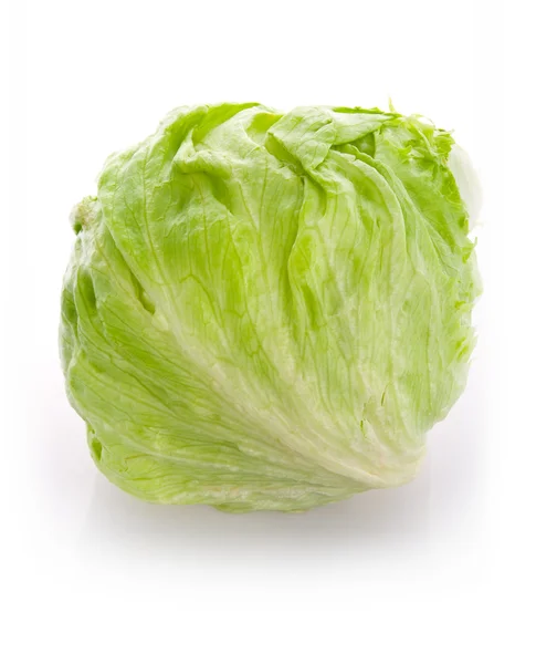 Ice salad — Stock Photo, Image
