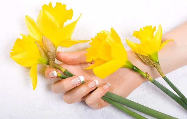 Daffodils e mão de mulher — Fotografia de Stock