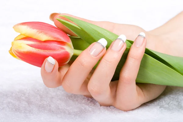 Tulip in handen van de vrouw — Stockfoto
