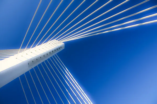 现代桥梁施工 图库图片