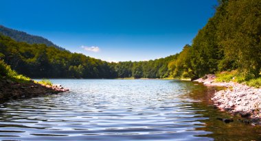 Biogradsko Lake in Montenegro clipart