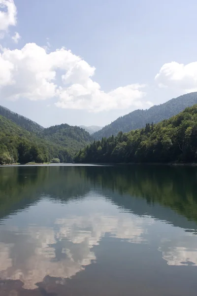 Lago di Biogradsko in Montenegro — Foto Stock