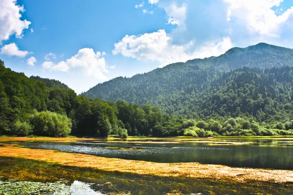 Биоградское озеро в Черногории — стоковое фото