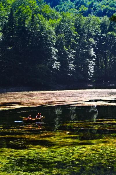 stock image Biogradsko Lake in Montenegro