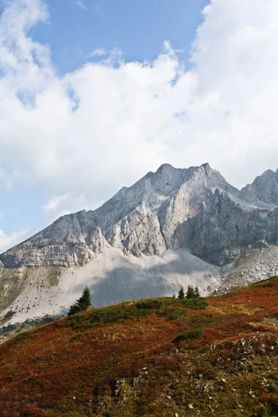 Paysages de montagne Komovi — Photo