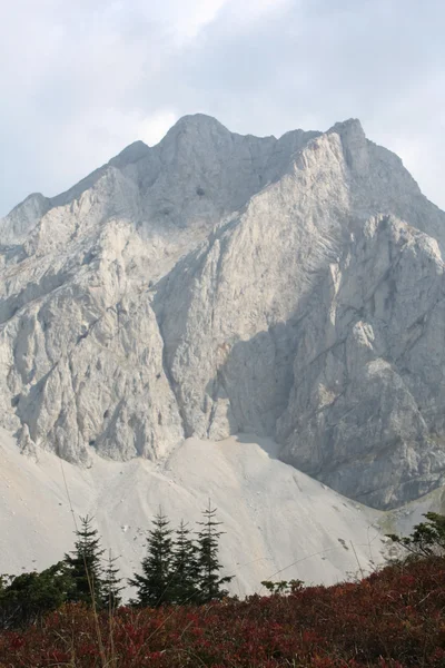 Komovi 山、モンテネグロ — ストック写真