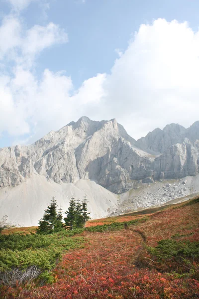 Montaña Komovi, Montenegro —  Fotos de Stock