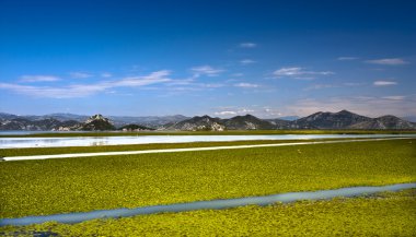 Skadar Gölü, Karadağ