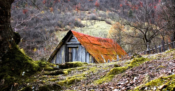 Mały domek w lesie — Zdjęcie stockowe